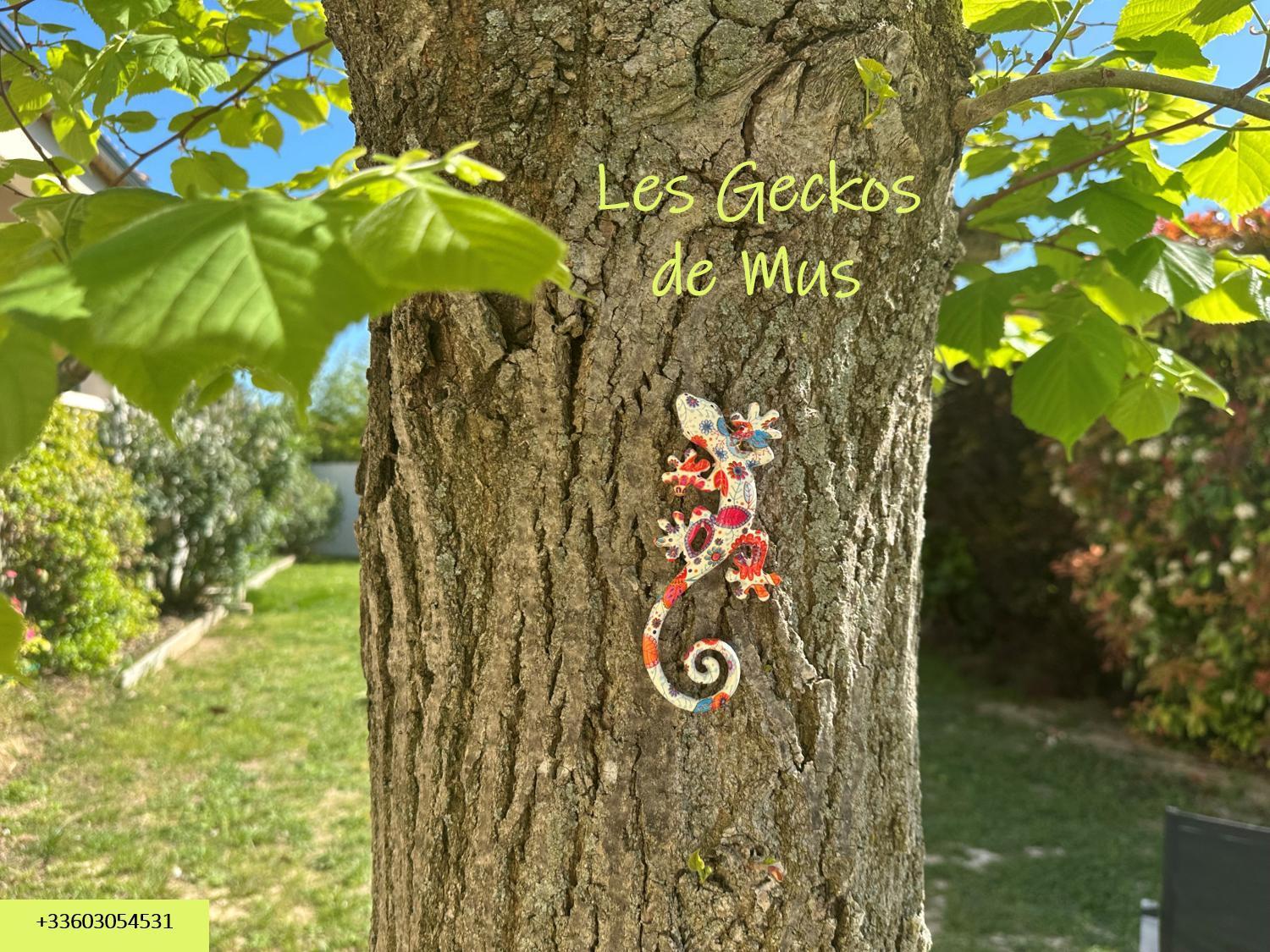 Les Geckos De Mus Daire Dış mekan fotoğraf